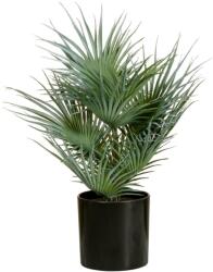  EUROPALMS Fan Palm, artificial plant, 55cm (82509401)