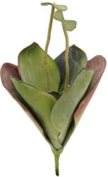  EUROPALMS Water Lily (EVA), artificial plant, closed, green, 45cm (82530575)