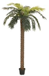  EUROPALMS Phoenix Palm Deluxe, artificial plant, 250cm (82509724)