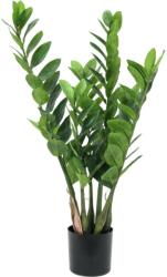  EUROPALMS Zamifolia, artificial plant, 70cm (82600153)