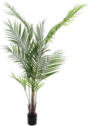  EUROPALMS Areca palm with big leaves, artificial plant, 165cm (82509441)