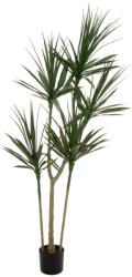  EUROPALMS Dracaena, artificial plant, green, 170cm (82505799)