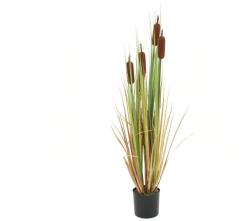  EUROPALMS Bulrush, artificial plant, 150cm (82600115)