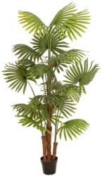  EUROPALMS Fan Palm, artificial plant, 165cm (82509305)