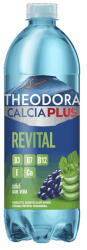 Theodora Ásványvíz szénsavas THEODORA Calcia Plus Revital szőlő-aloe vera 0, 7 L DRS (C69334) - papir-bolt