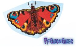 Günther GmbH & Co Günther: Sárkány Pávaszem 92x62 cm (1103)