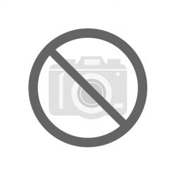 Bernardo Hinteranschlag für TBM 2520 (06-6017)