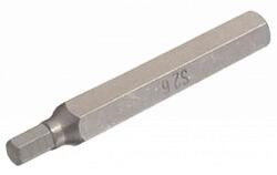 SW-Stahl 05022L Bitfej, 6mm