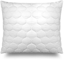 John Cotton Aloe Vera 50 × 70 cm