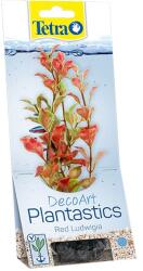 TETRA Ludwigia repens ( Red Ludwigia) - növény Tetra 30 cm, L