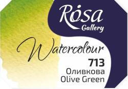 Rosa 343713 Vopsea acuarela 713 Olive Green 2, 5 ml 1 buc (343713)