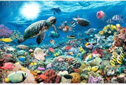Ravensburger Puzzle 5 000 db - Tengeri élet Ajánlott 14-99 éves korig unisex [Cikkszám 91175]