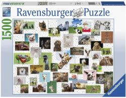 Ravensburger Puzzle 1500 db - Vicces állatok Ajánlott 10-99 éves korig unisex [Cikkszám 53838]