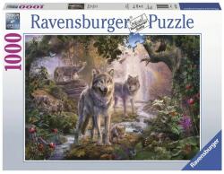 Ravensburger Puzzle 1000 db - Farkascsalád nyáron Ajánlott 10-99 éves korig unisex [Cikkszám 59486]