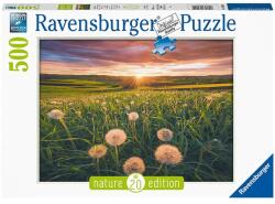 Ravensburger Puzzle 500 db - Pitypang a naplementében Ajánlott 10-99 éves korig unisex [Cikkszám 75605]