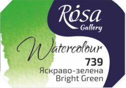 Rosa 343739 Vopsea acuarela 739 Bright Green 2, 5 ml 1 buc (343739)