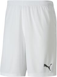 PUMA Team Goal 23 Knit Shorts (70426204)