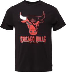 New Era Chicago Bulls Nba Logo (60578584)