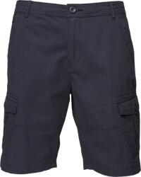 Willard Axion (pms1s-2254-c)