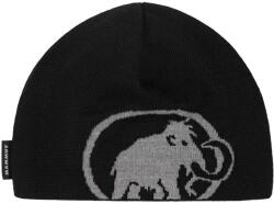 Mammut Șapcă Mammut Tweak, black/steel