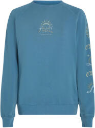 O'Neill Beach Vintage (1750112-15064)