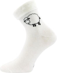 Boma Sheep (n03107)