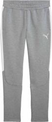 PUMA Teamevostripe Pants (65994833)