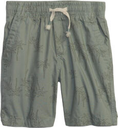 GAP V-opp (553026-07)