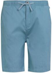 REGATTA Férfi Aldan Chino rövidnadrág lila|mályva