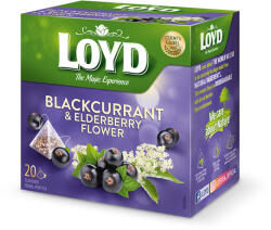 LOYD piramis tea feketerib-bodza 40g