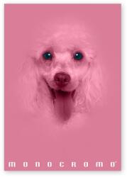 Pigna Monocromo Pink A4 38 lap, tűzött, vonalas füzet (P1111-1292)