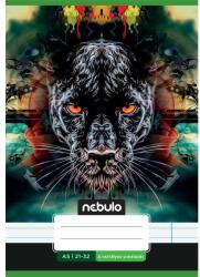 Nebulo Nebulo Vagány minták II. A5 4. osztályos 21-32 tűzött vonalas füzet (VO4-2-VM-A5)