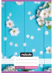 Nebulo Nebulo Cuki minták I. A5 4. osztályos 21-32 tűzött vonalas füzet (VO4-1-CM-A5)