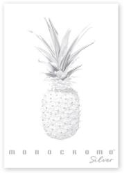 Pigna Monocromo Silver A4 38 lap, tűzött, kockás füzet (P1111-1291)