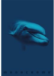 Pigna Monocromo Blue A4 tűzött 38 lapos kockás füzet (P1111-1855)