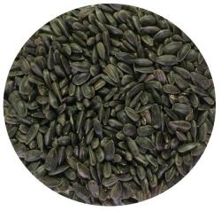 Kite Aprómag Kft Napraforgó fekete 10 kg madáreleség