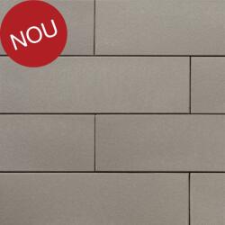 Terca Coltar klinker subtire Terca Armis Desert Grey 215x65x9 mm (Terca-65715052)