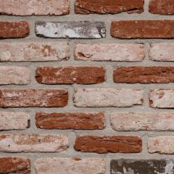 Terca Coltar klinker standard Terca Rustica Oud Veldsteen 215x65x23 mm (Terca-65710392)