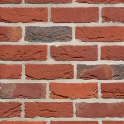 Terca Caramida plina Terca Artiza Buckingham Red Multi 210x100x65 mm (Terca-1700120)