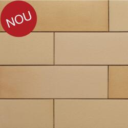Terca Coltar klinker subtire Terca Armis Mellon Yellow 215x65x14 mm (Terca-65715002)