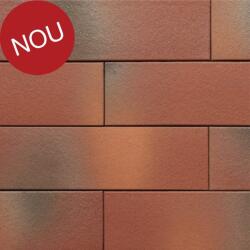 Terca Coltar klinker subtire Terca Armis Garnet Red 215x65x9 mm (Terca-65715062)