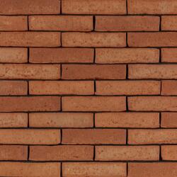 Terca Caramida plina Terca Latero Rubino 215x102x50 mm (Terca-12101700)