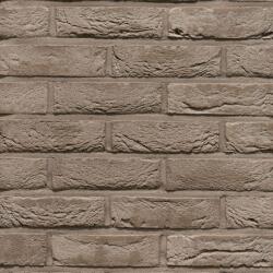 Terca Coltar klinker standard Terca Pagus Grijs 215x65x23 mm (Terca-65710852)