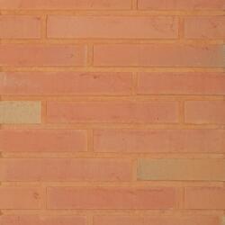 Terca Coltar mic klinker Terca Linnaeus Betula 255x48x23 mm (Terca-65710723)