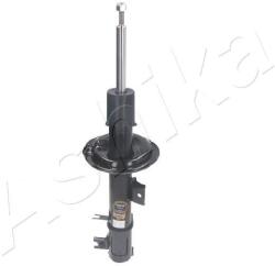 ASHIKA amortizor ASHIKA MA-80020 (MA-80020) - automobilus