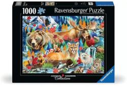 Ravensburger Vad Kanada 1000 db-os (15623) (12001448)