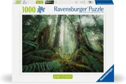 Ravensburger Power of Nature - Az erdőben 1000 db-os (12000292)