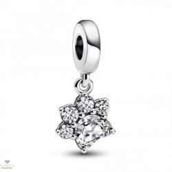 Pandora mancs charm - 792247C01