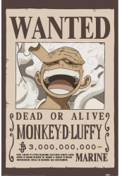 Pyramid ONE PIECE (WANTED LUFFY) maxi poszter (PP2501058)