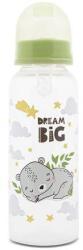 Lorelli Biberon cu Capac Lorelli 0 Luni+ 250ml Fresh Green (1020011 0007)